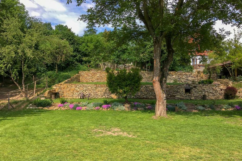 Penzion Na Hradcanech Nové Město nad Metují المظهر الخارجي الصورة
